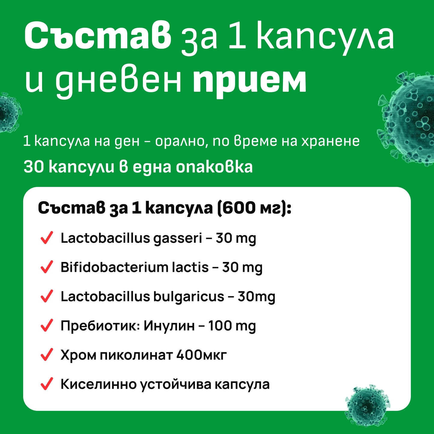 Thin Tummy състав на продукта