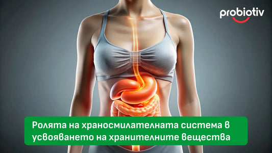 Храносмилателна система, усвояване на хранителни вещества и чревен баланс