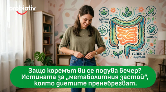 Защо коремът ви се подува вечер? Истината за „метаболитния застой“, която диетите пренебрегват.