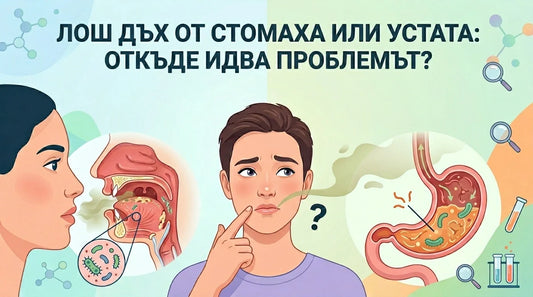 Лош дъх от стомаха или устата: откъде идва проблемът