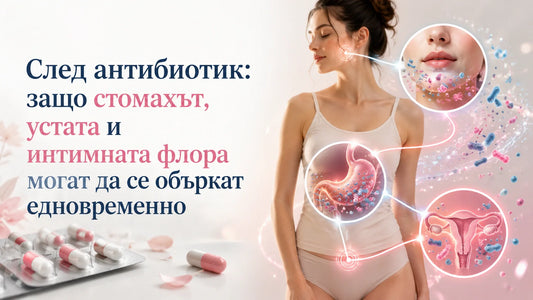 След антибиотик: защо стомахът, устата и интимната флора могат да се объркат едновременно
