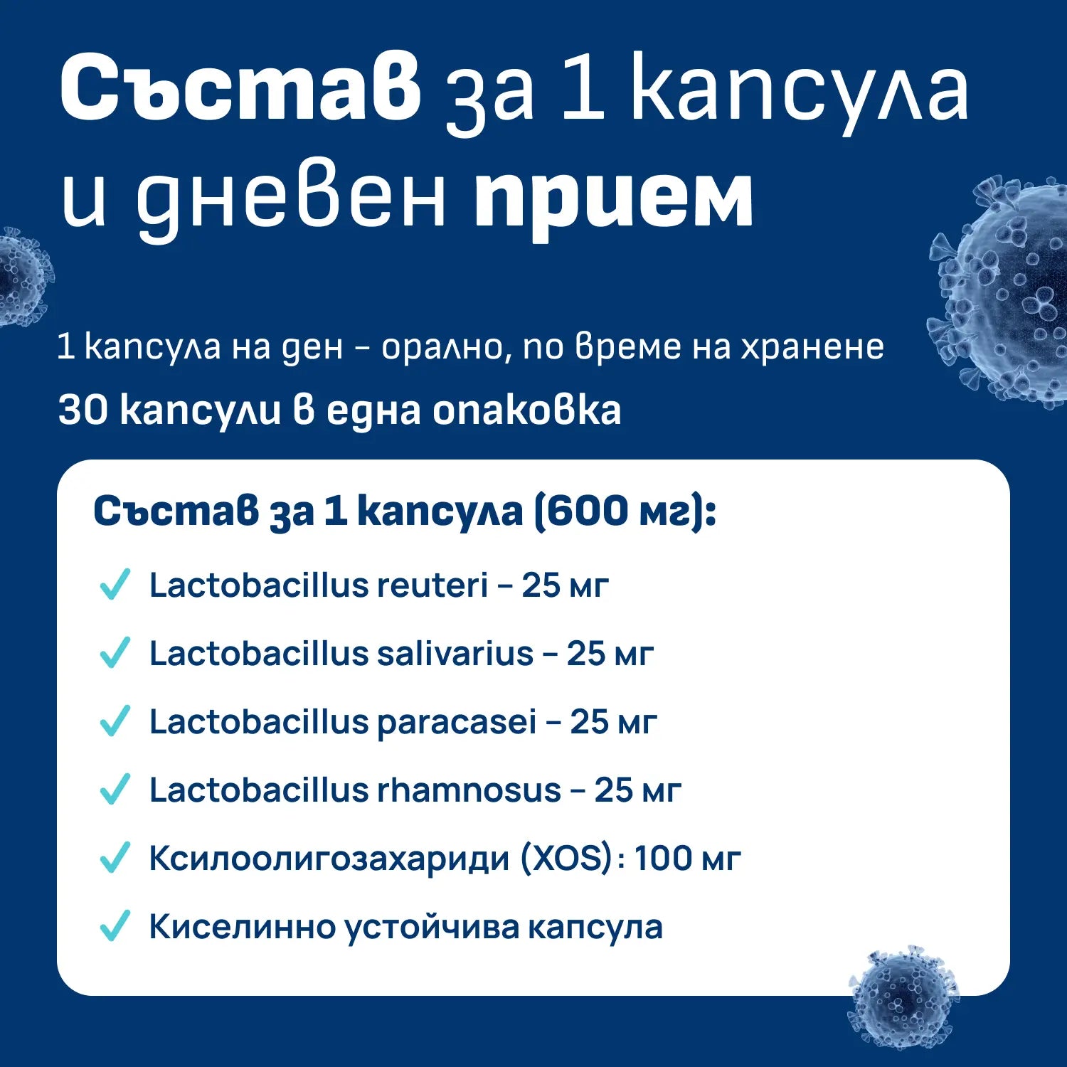 Lactobacillus щамове в орален пробиотик Probiotiv