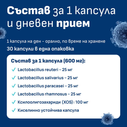 Lactobacillus щамове в орален пробиотик Probiotiv