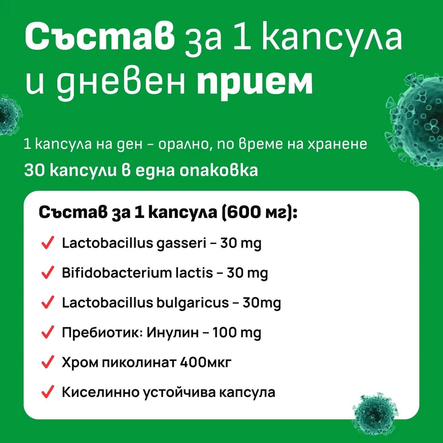 Състав на Thin Tummy пробиотик – Lactobacillus щамове, Хром пиколинат, Инулин
