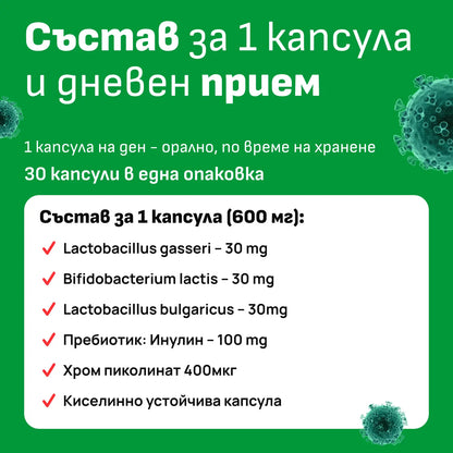 Състав на Thin Tummy пробиотик – Lactobacillus щамове, Хром пиколинат, Инулин